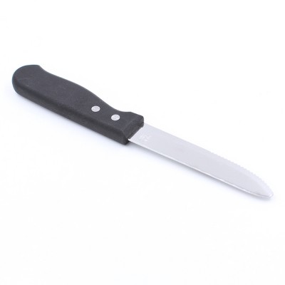 Serrated Blade Steak Knives with Plastic Handles for Restaurants